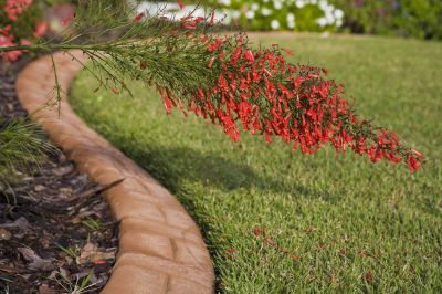 Curbing with Decorative Colors